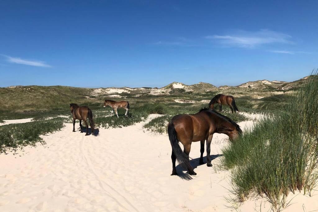 Villa Klein Geluk Egmond aan Zee Ngoại thất bức ảnh
