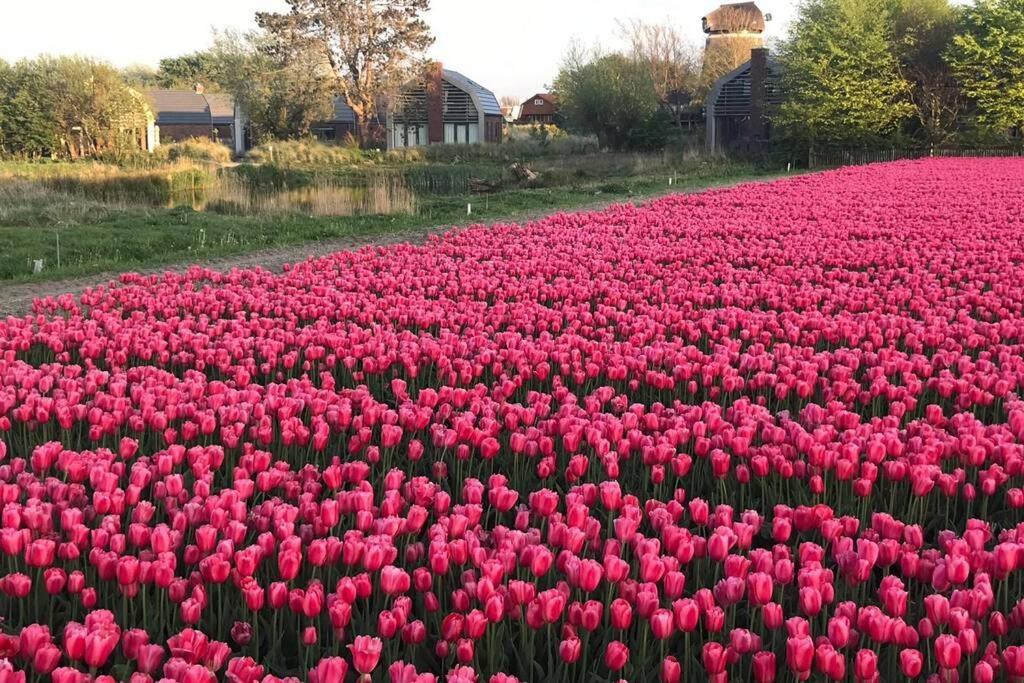 Villa Klein Geluk Egmond aan Zee Ngoại thất bức ảnh